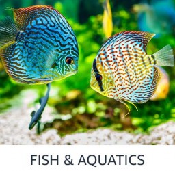Fish Aquarium Product
