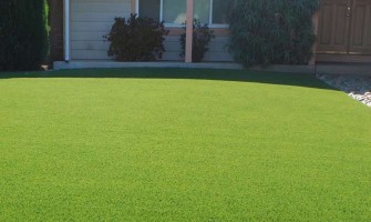 Lawn Grass Basics & Care