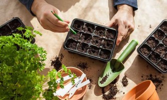 14 Plants nutrients required for best growth & development