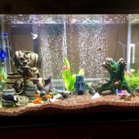 Aquarium Cleaning Tool