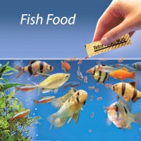 Fish Food