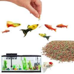 Buy Aquarium Fish Food Online | Fish Food for Aquarium with High Protein | 20g Aquarium Fish Food Pack for All Small and Medium Tropical Fishes | Daily Nutrition Fish Feed for Health and Growth Buy Aquarium Fish Food Online | Fish Food for Aquarium with High Protein | 20g Aquarium Fish Food Pack for All Small and Medium Tropical Fishes | Daily Nutrition Fish Feed for Health and Growth
