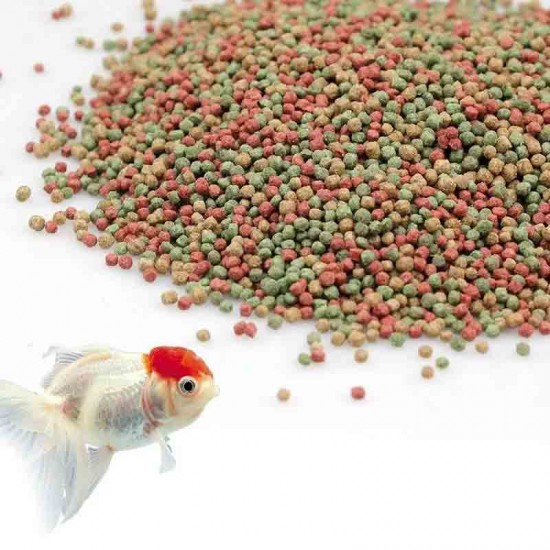 Buy Aquarium Fish Food Online | Fish Food for Aquarium with High Protein | 20g Aquarium Fish Food Pack for All Small and Medium Tropical Fishes | Daily Nutrition Fish Feed for Health and Growth Buy Aquarium Fish Food Online | Fish Food for Aquarium with High Protein | 20g Aquarium Fish Food Pack for All Small and Medium Tropical Fishes | Daily Nutrition Fish Feed for Health and Growth