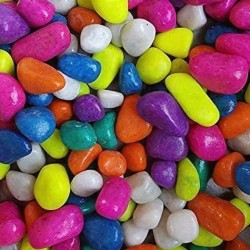 Multicolor Pebbles Stone for Decoration Garden Plants Pots Home Table Decoration & Garden Outdoor Decoration (500 Gram) Multicolor Pebbles Stone for Decoration Garden Plants Pots Home Table Decoration & Garden Outdoor Decoration (500 Gram)