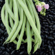 Black Beans Vegetable Seeds
