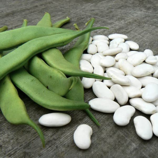 White Beans Vegetable Seeds