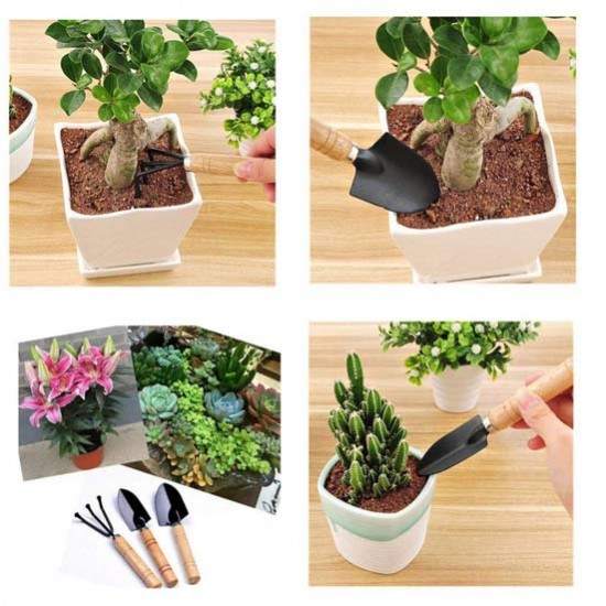 Wooden Handle Small Sharp Shovel Rake Mini Garden Tool Set (3 Piece Set)  Wooden Handle Small Sharp Shovel Rake Mini Garden Tool Set (3 Piece Set)
