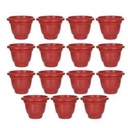 Garden Plastic Pot 8 Inch (6 Pcs Set) for Indoor or Outdoor use | Plastic Pot UV treated,100% virgin plastic, light weight, Durable and long lasting Garden Plastic Pot 8 Inch (6 Pcs Set) for Indoor or Outdoor use | Plastic Pot UV treated,100% virgin plastic, light weight, Durable and long lasting