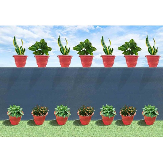 Garden Plastic Pot 8 Inch (6 Pcs Set) for Indoor or Outdoor use | Plastic Pot UV treated,100% virgin plastic, light weight, Durable and long lasting Garden Plastic Pot 8 Inch (6 Pcs Set) for Indoor or Outdoor use | Plastic Pot UV treated,100% virgin plastic, light weight, Durable and long lasting