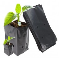 Nursery Grow Bags for Plant and Seeds Germination | Plant Bags for Home Garden | UV Protected Nursery Grow Poly Bags (Black, 5 X 7 inch) -01 Qty 