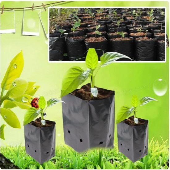 Nursery Grow Bags for Plant and Seeds Germination | Plant Bags for Home Garden | UV Protected Nursery Grow Poly Bags (Black, 5 X 7 inch) -01 Qty  Nursery Grow Bags for Plant and Seeds Germination | Plant Bags for Home Garden | UV Protected Nursery Grow Poly Bags (Black, 5 X 7 inch) -01 Qty