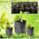 Nursery Grow Bags for Plant and Seeds Germination | Plant Bags for Home Garden | UV Protected Nursery Grow Poly Bags (Black, 5 X 7 inch) -01 Qty 
