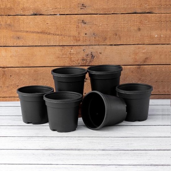 Nursery Grower Black Plastic Pot 4 Inch (6 Pcs. Set) | Durable and Long-Lasting Gardening Pots for Indoor or Outdoor Use | Perfect for Your Home Garden