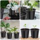 Nursery Grower Pot 5 Inch (6 Pcs. Set) | Durable for Indoor or Outdoor Use | Perfect for Your Home Garden.