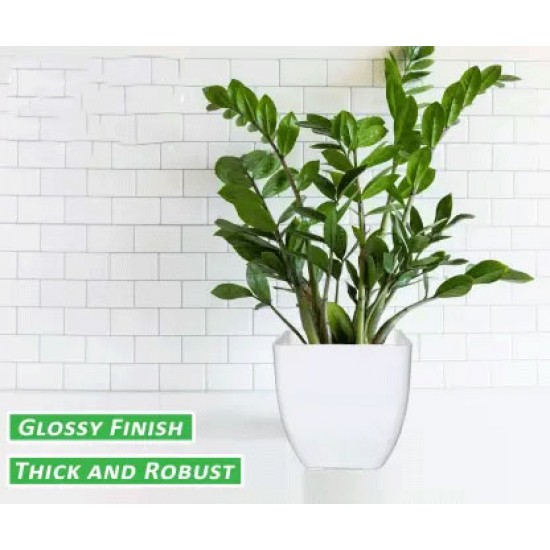 5-Inch Pearl Plastic Planters White Color- Flower Pots Set (Pack of 4, Plastic) | Gamla Plant Container. 5-Inch Pearl Plastic Planters White Color- Flower Pots Set (Pack of 4, Plastic) | Gamla Plant Container.