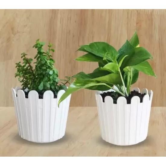 Garden White Plastic Pot 6 Inch Trendy Design (6 Pcs. Set) | Durable and Long-Lasting Gardening Pots for Indoor or Outdoor Use | Perfect for Your Home Garden Garden White Plastic Pot 6 Inch Trendy Design (6 Pcs. Set) | Durable and Long-Lasting Gardening Pots for Indoor or Outdoor Use | Perfect for Your Home Garden