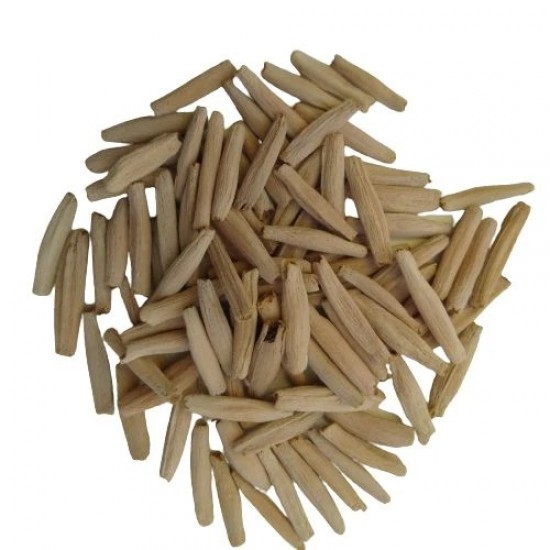 Adenium Mix Color Flower Seeds (Set of 5 seeds) Adenium Mix Color Flower Seeds (Set of 5 seeds)