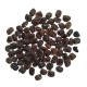 Aparajita Clitoria Ternatea (Mix Color, Hybrid) 10 Seeds | Butterfly Pea Flower Seeds