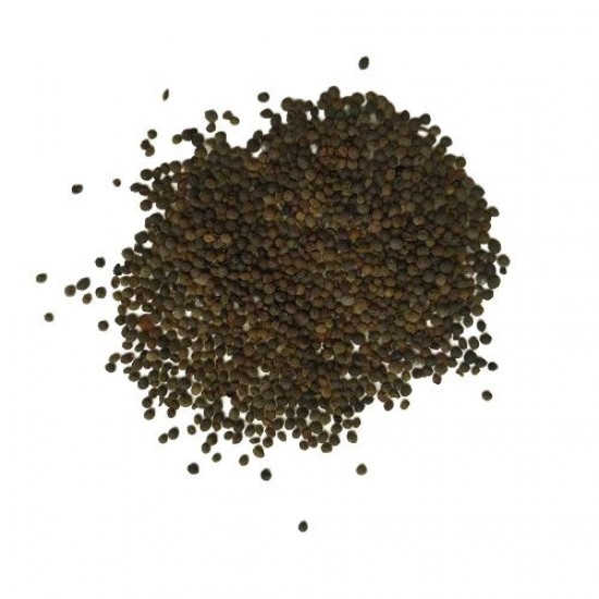 California Poppy Mix Color Flower Seeds California Poppy Mix Color Flower Seeds