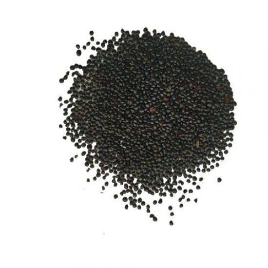 Cockscomb Mixed Color Flower Seeds Cockscomb Mixed Color Flower Seeds