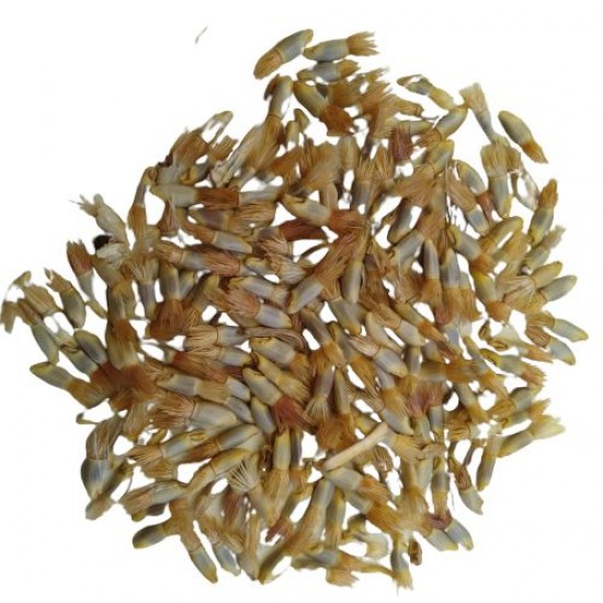 Corn Flower Mixed Color Flower Seeds Corn Flower Mixed Color Flower Seeds