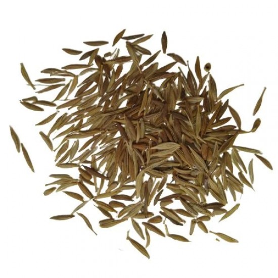 Gerbera Mix Color Flower Seeds