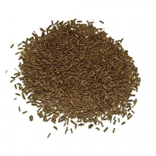 Helichrysum Bracteatum Paper Flower Mixed Color Flower Seeds Helichrysum Bracteatum Paper Flower Mixed Color Flower Seeds