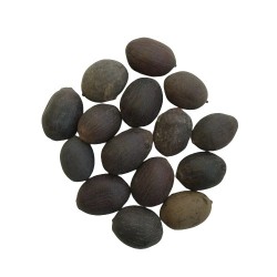 Aquatic Lotus Flower Seeds for Home Gardening-Create a Calming Oasis at Home and Transform Your Space!