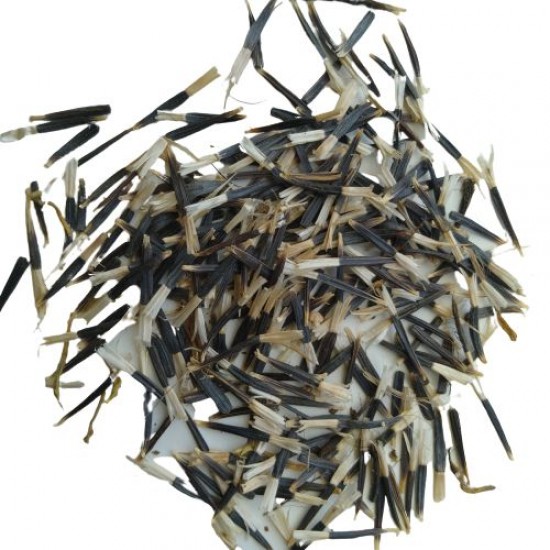 Marigold Basanti Big Bloom Mixed Color Flower Seeds Marigold Basanti Big Bloom Mixed Color Flower Seeds