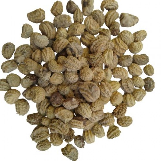 Nasturtium Alaska Mixed Color Flower Hybrid Seeds Nasturtium Alaska Mixed Color Flower Hybrid Seeds