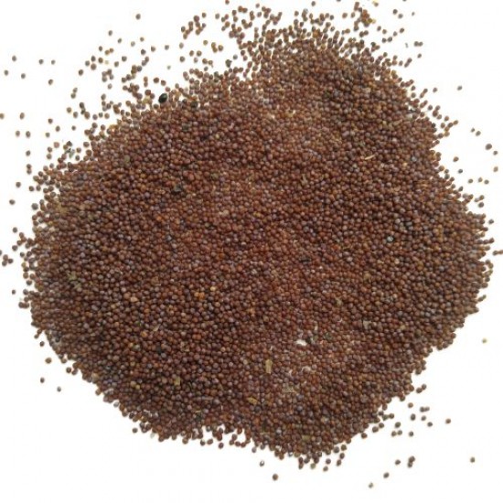 Petunia Grandiflora Mixed Color Flower Seeds Petunia Grandiflora Mixed Color Flower Seeds