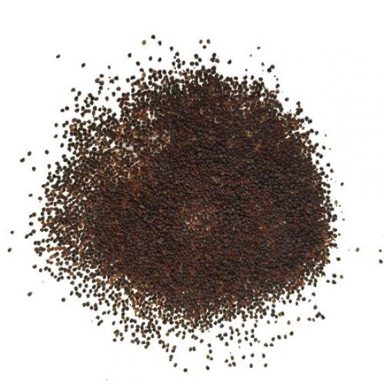 Poppy Shirley Mixed Color Flower Hybrid Seeds Poppy Shirley Mixed Color Flower Hybrid Seeds