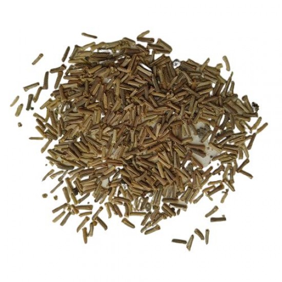 Verbena Mixed Color Flower Seeds