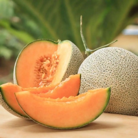 Musk Melon Fruit Seeds