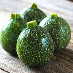Summer Squash (Chappan Kaddu) | Grow Your Own Delightful Harvest! Summer Squash (Chappan Kaddu) | Grow Your Own Delightful Harvest!