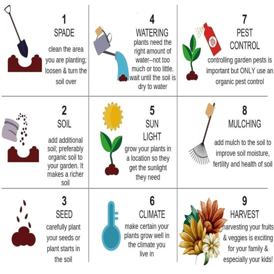 45 Variety of Flower Seeds Combo Pack With Instruction Manual. 45 Variety of Flower Seeds Combo Pack With Instruction Manual.