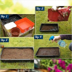 Indian Vegetable Fresh Harvested Seeds 45+ Variety (Non GMO) Combo pack.