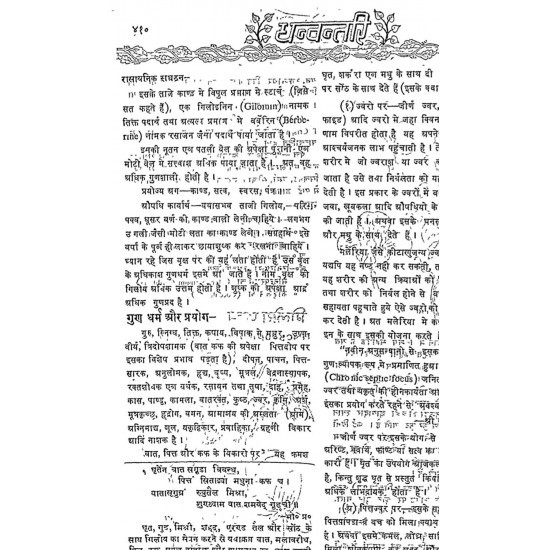 Evergreen Season Neem Giloy Seed Sticks Fresh Stems (6-Inch) (1 Dozen) Set of 12