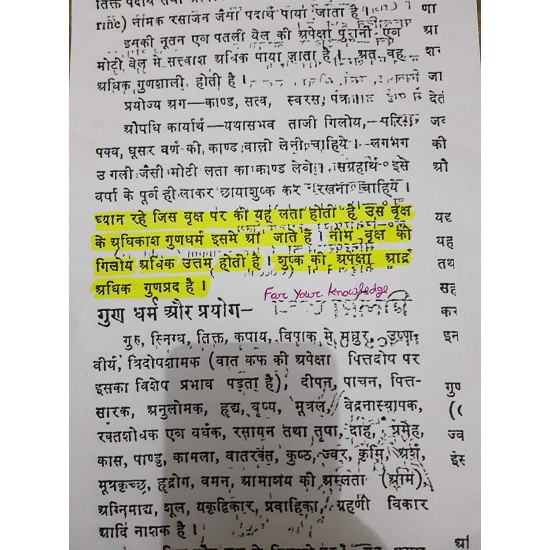 Evergreen Season Neem Giloy Seed Sticks Fresh Stems (6-Inch) (1 Dozen) Set of 12