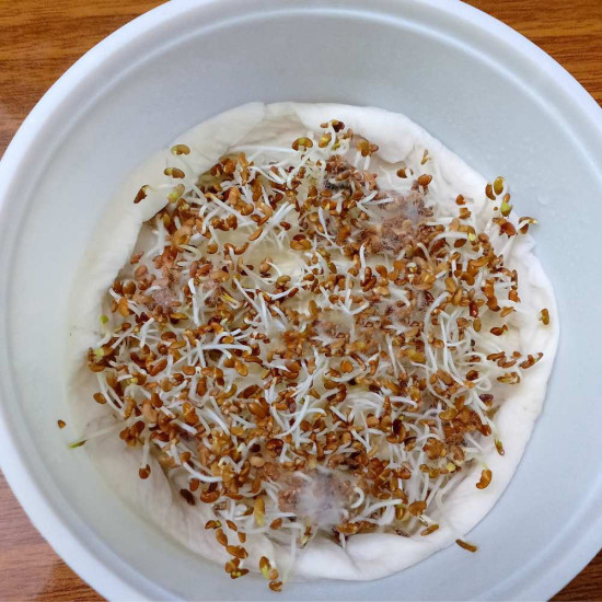 Alfalfa Microgreen Seeds | Superfood Sprouts | Easy to Grow Indoors Alfalfa Microgreen Seeds | Superfood Sprouts | Easy to Grow Indoors