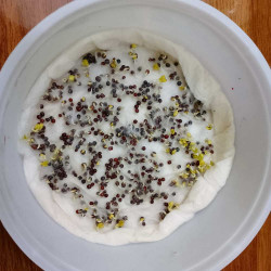 Kale Purple Microgreen Seeds  | Non GMO Seeds with Growing Instruction | Grow Your Own Super Salad.