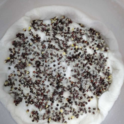 Pak Choi Microgreens Seeds | Super Salad Greens | Easy to Grow Indoors