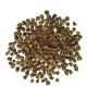 Beetroot Seeds | Vegetable Seeds
