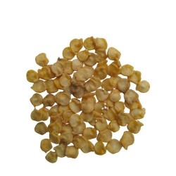 Bell Pepper Purple Black Seeds | Vegetable Seeds