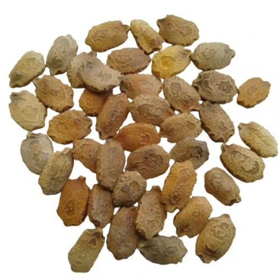 Bittergourd Karela Long High Quality Seeds | Vegetable Seeds Bittergourd Karela Long High Quality Seeds | Vegetable Seeds