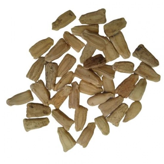 Bottle Gourd Round Gol Ghiya Vegetable Best Quality Hybrid Seeds Home Garden Pack Bottle Gourd Round Gol Ghiya Vegetable Best Quality Hybrid Seeds Home Garden Pack