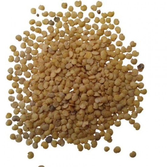 Brinjal Long Baingan variety Seeds | Vegetable Seeds Brinjal Long Baingan variety Seeds | Vegetable Seeds