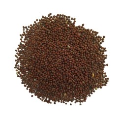 Broccoli Imported Hybrid Vegetable Seeds