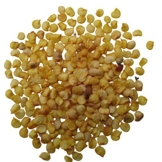 Chilli Hari Mirch Seeds 1 kg pack | Vegetable Seeds Chilli Hari Mirch Seeds 1 kg pack | Vegetable Seeds