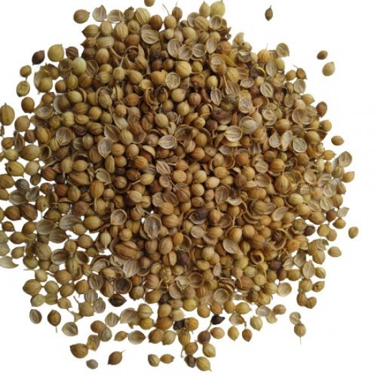 Coriander Dhania Green Aroma हरा धनिया Desi Vegetable Seeds Coriander Dhania Green Aroma हरा धनिया Desi Vegetable Seeds
